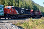 CN 3301